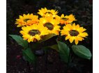 FLD-21-ŽLUTÁ | Solární zahradní lampa LED Sunflower | 68 cm, 600 mAh