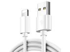 C01 | Lightning (iPhone) 1M | USB nabíjecí kabel pro iPhone 5S 6 6S 7 8 + X XS 11